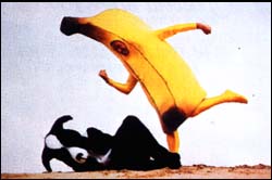 bananasareevil.jpg