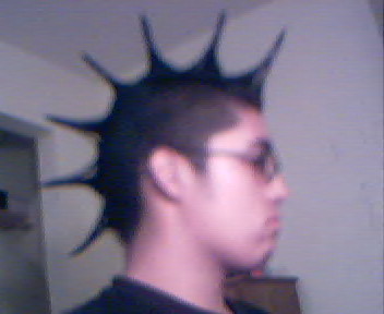 luis.jpg